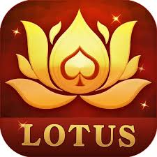 teen patti kaise banti hai download